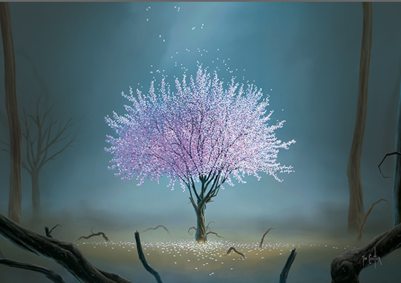 Tim Cantor — Animazing Gallery